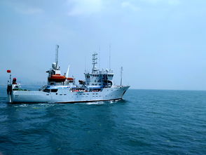 中韩渔业资源联合增殖放流活动在山东青岛举行