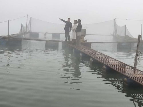 云南陇川县水产技术推广站开展渔业安全生产和水产品质量安全大检查专项行动