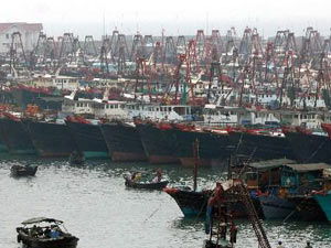 韩国海警抓扣中国渔船被刺死 网易专题