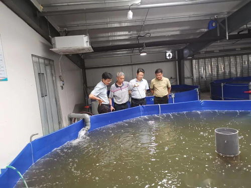 安徽省水产技术推广总站来浙调研渔业绿色健康养殖工作